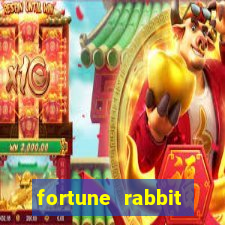 fortune rabbit melhor horario